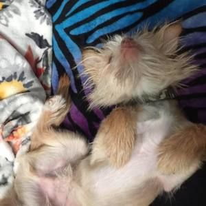 Meet your Posher, Leah